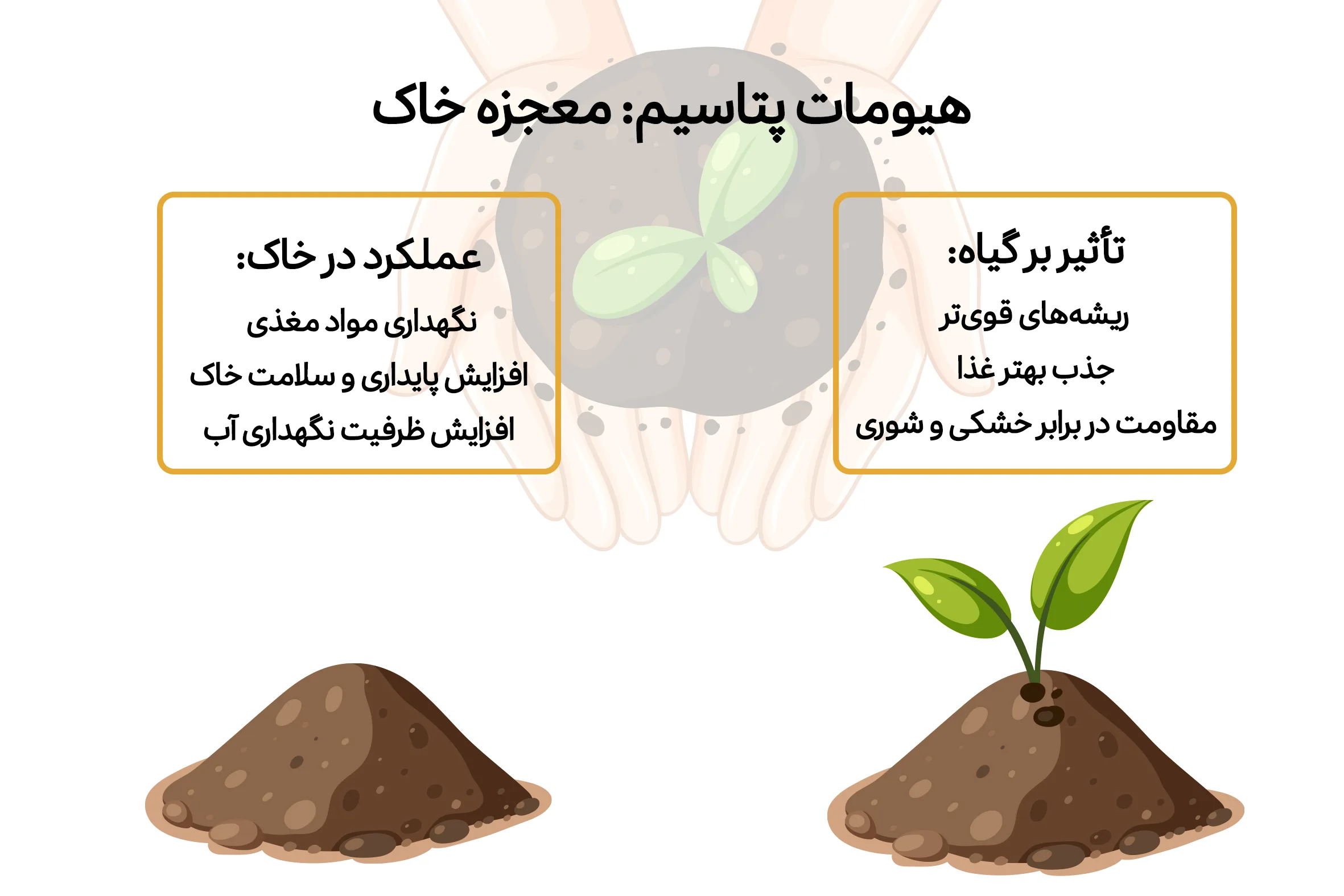 اثرات هیومات پتاسیم بر خاک و گیاه