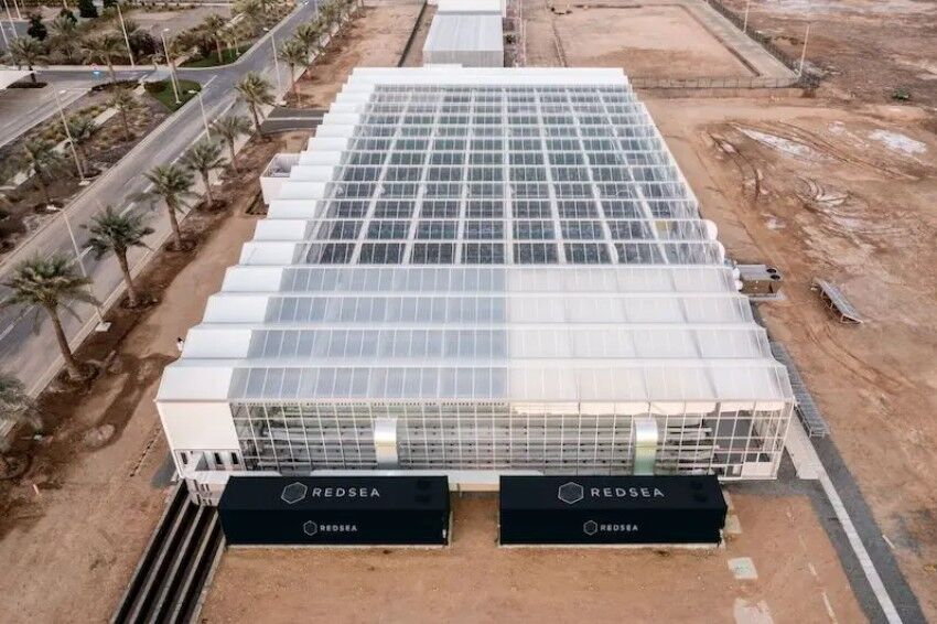 ارزش ۴۹میلیارد دلاری استارتاپ های کشاورزی تا ۲۰۳۰؛ کشت با آب شور با کمک redseafarm