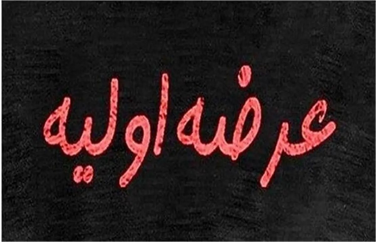 این نماد، سبد شما را سنگین می‌کند! جزئیات عرضه اولیه اروند