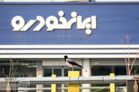 شروع پیش فروش و فروش فوری ایران خودرو از این تاریخ + جزئیات ثبت‌نام