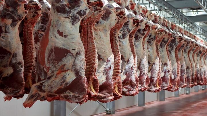 ۹۰ درصد گوشت قرمز از داخل تأمین می‌شود