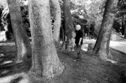 کاشت درخت «افرا» به یاد بهرام بیضایی