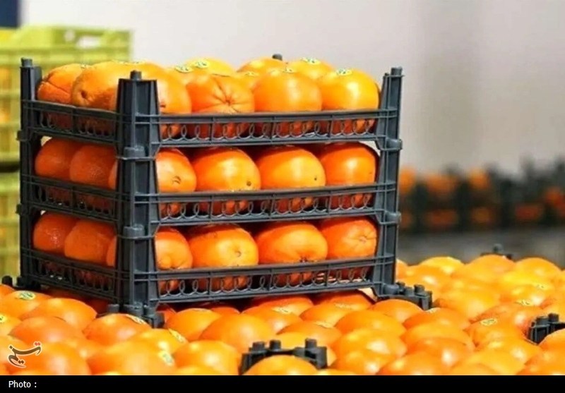 آغاز توزیع میوه ایام پایانی سال از امروز در تهران آغاز توزیع میوه ایام پایانی سال از امروز در تهران