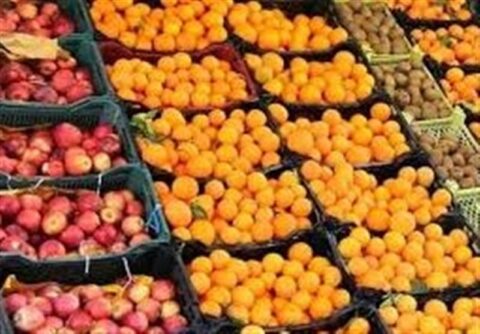 توزیع میوه عید از 20 اسفند آغاز می‌شود