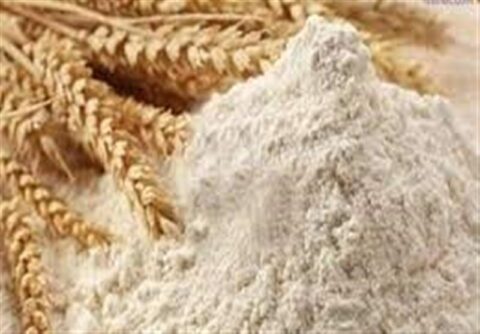 فعالیت کارخانجات آرد کشور شبانه‌روزی شد