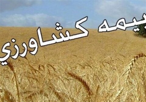 پرداخت 5200 میلیارد ریال غرامت بیمه کشاورزی در جنگ تحمیلی