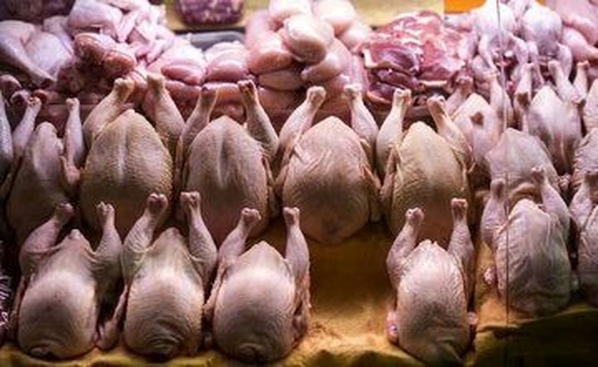 کشور همسایه به داد بازار مرغ ایران رسید