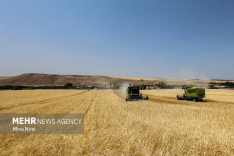 اجرای کامل قانون الزام با جدیت دنبال می‌شود
