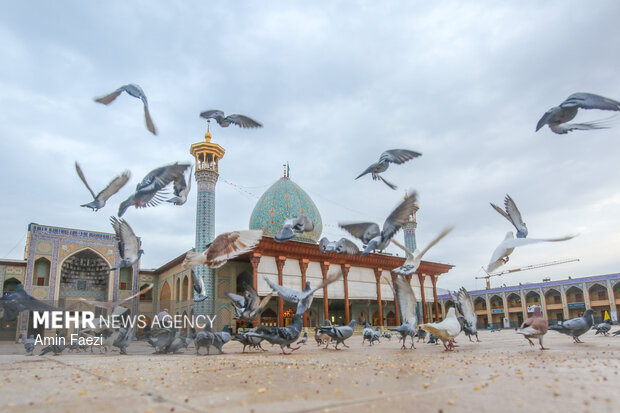 حضرت شاهچراغ(ع) پرچم‌دار جهاد تبیین است