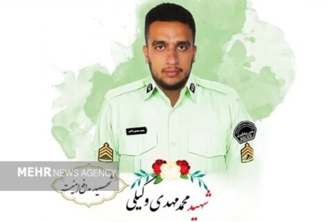 حکم قصاص قاتل شهید وکیلی اجرا شد