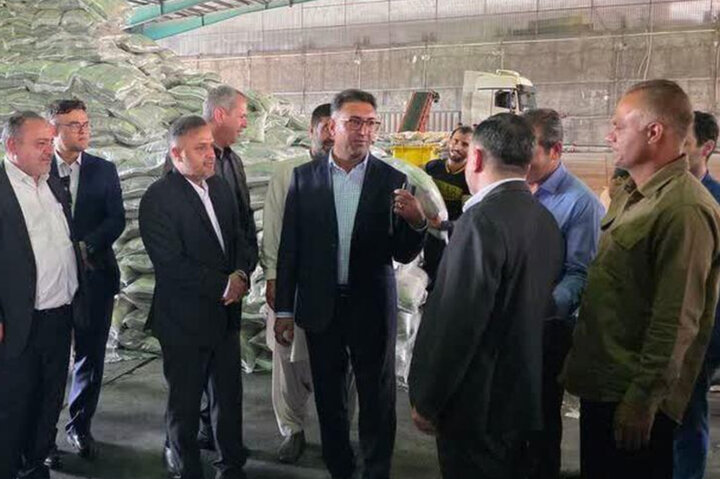 صدور دستور ویژه قضایی برای ترخیص فوری بیش از ۳۰ هزار تن برنج