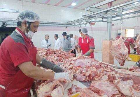 عوارض واردات گوشت و مرغ در سال جاری اعلام شد