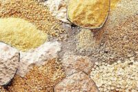 محدودیت واردات از طریق بنادر جنوبی کشور / اولین محموله نهاده دامی نیز از بنادر شمالی وارد کشور شده است