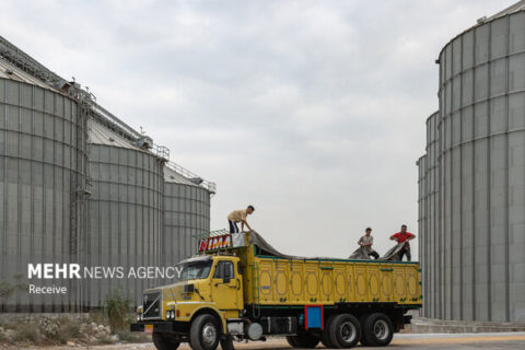 ۸۱۹ هزار تن کالای اساسی از طریق مناطق آزاد تأمین شد