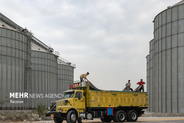 ۸۱۹ هزار تن کالای اساسی از طریق مناطق آزاد تأمین شد