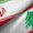 وزرای بهداشت ایران و لبنان در ژنو دیدار و گفتگو کردند