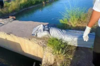 کشف پیکر جوان اندیمشکی مفقود در رودخانه دز+ جزئیات
