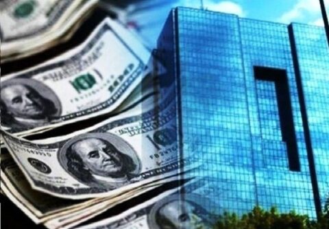 بانک مرکزی مکلف به تأمین 4 همت برای بازار نهاده‌ها شد
