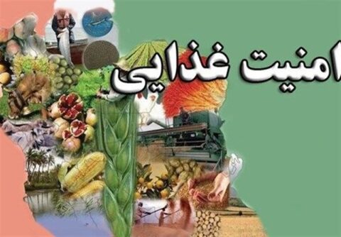 نشست تخصصی ایمنی غذایی، جنگ و تابآوری زنجیره تأمین برگزار میشود نشست تخصصی ایمنی غذایی، جنگ و تابآوری زنجیره تأمین برگزار میشود