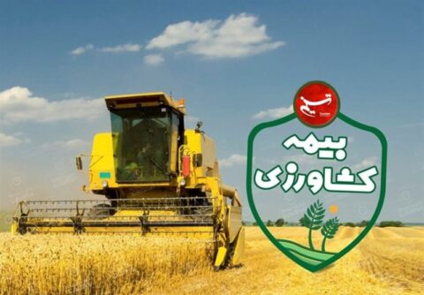 پرداخت 6.5 همت خسارت بیمهای به کشاورزان پرداخت 6.5 همت خسارت بیمهای به کشاورزان