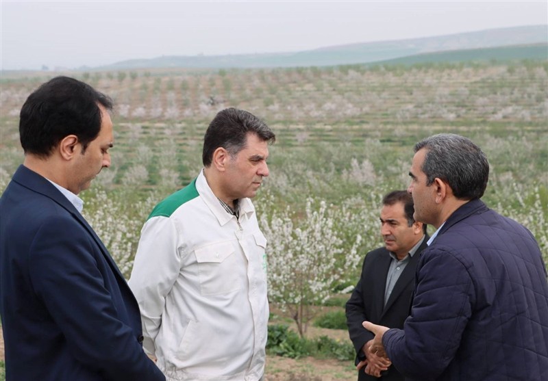 «معماری نوین امنیت غذایی» -4 |فقر تفکر راهبردی و «امنیت غذایی مونتاژی»