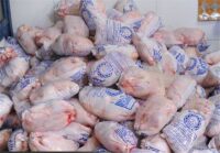 2 هزار تن گوشت مرغ تاریخ‌گذشته از سردخانه‌های تهران جمع‌آوری شد
