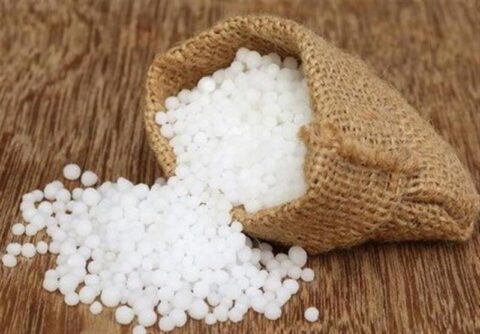 تأمین مالی اوره حمایتی؛ پیششرط پایداری تولید و امنیت غذایی تأمین مالی اوره حمایتی؛ پیششرط پایداری تولید و امنیت غذایی