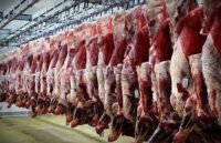 کاهش 6 درصدی تولید گوشت قرمز در تیر 1405