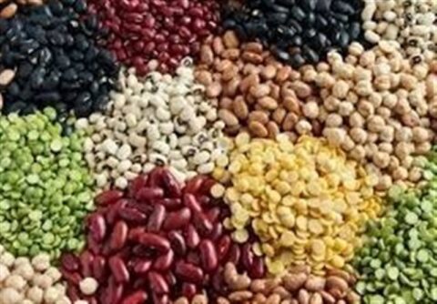 ثبت سفارش حبوبات باز شد ثبت سفارش حبوبات باز شد