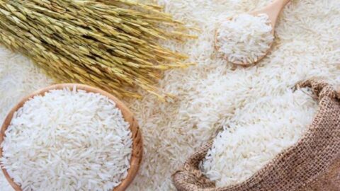 ثبت سفارش واردات انواع برنج از امروز آغاز می‌شود