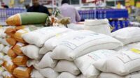 کاهش واردات برنج و تشدید فشار ارزی؛ زنگ خطر کمبود در نیمه دوم سال